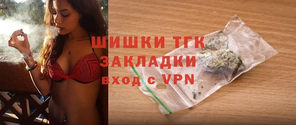 прущие крисы Ельня