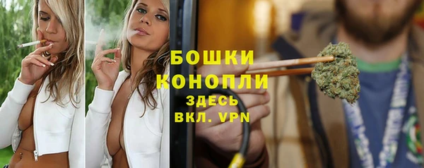 прущие крисы Ельня
