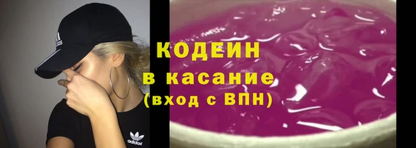 прущие крисы Ельня