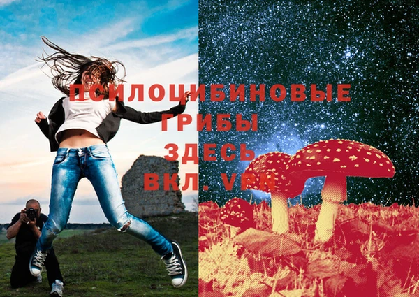 прущие крисы Ельня