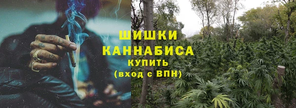прущие крисы Ельня