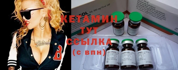 прущие крисы Ельня
